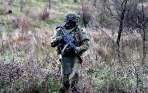 Balance inicial en Biobío: elecciones se desarrollan con eficacia