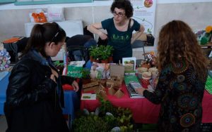 Diversos eventos culturales y recreativos para este fin de semana en Colina y alrededores