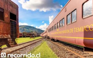 EFE Sur presenta nuevas rutas de verano en las líneas L1 y L2 a partir de este sábado